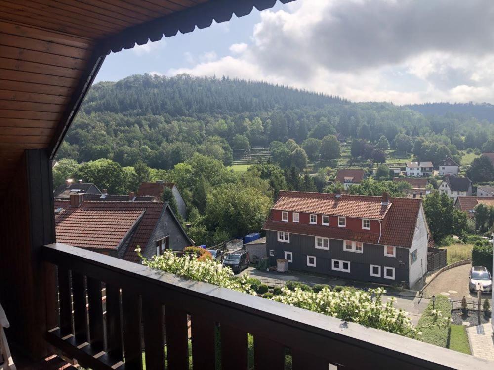 Harzhotel Gruenett Langelsheim Zewnętrze zdjęcie